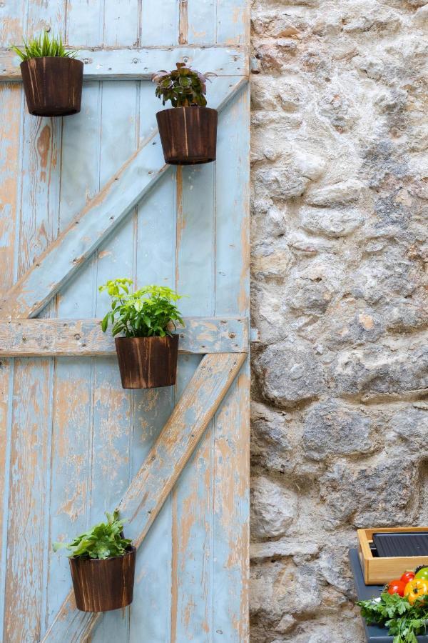 Jardin Secret Terrasse Panier Vieux-port * Marseilles